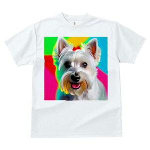 EGXgnChzCgeA TVc  j[NfUCfB[X t@  t vg lJWA 킢 lԗp Mtg I ҏ΍ EGXgnChz