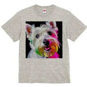 EGXgnChzCgeA TVc  j[NfUCfB[X t@  t vg lJWA 킢 lԗp Mtg I ҏ΍ Jt EGXgnC