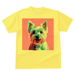 EGXgnChzCgeA TVc  j[NfUCfB[X t@  t vg lJWA 킢 lԗp Mtg I ҏ΍ EGXgnChz