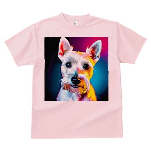 EGXgnChzCgeA TVc  j[NfUCfB[X t@  t vg lJWA 킢 lԗp Mtg I ҏ΍ Jt EGXgnC