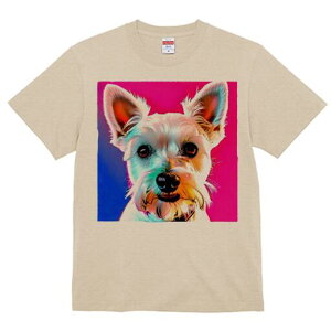 EGXgnChzCgeA TVc  j[NfUCY LbY t@  t vg lJWA 킢 lԗp Mtg I ҏ΍ EGXgnCh