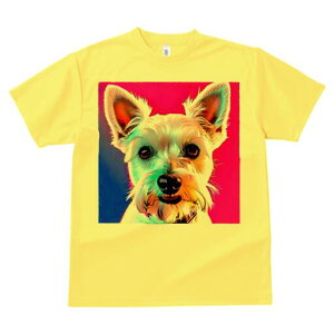 EGXgnChzCgeA TVc  j[NfUCfB[X t@  t vg lJWA 킢 lԗp Mtg I ҏ΍ EGXgnChz