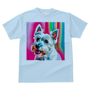 EGXgnChzCgeA TVc  j[NfUCY LbY t@  t vg lJWA 킢 lԗp Mtg I ҏ΍ wi EGXgnC