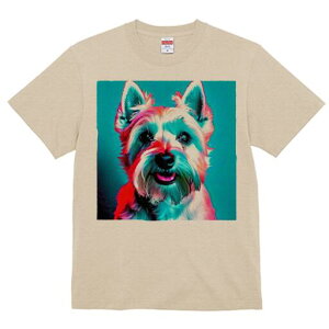 EGXgnChzCgeA TVc  j[NfUCfB[X t@  t vg lJWA 킢 lԗp Mtg I ҏ΍ EGXgnChz