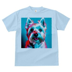 EGXgnChzCgeA TVc  j[NfUCfB[X t@  t vg lJWA 킢 lԗp Mtg I ҏ΍ EGXgnChz