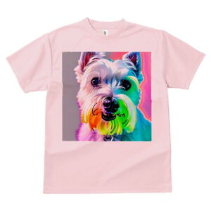 EGXgnChzCgeA TVc  j[NfUCfB[X t@  t vg lJWA 킢 lԗp Mtg I ҏ΍ EGXgnChz