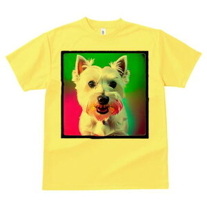 EGXgnChzCgeA TVc  j[NfUCfB[X t@  t vg lJWA 킢 lԗp Mtg I ҏ΍ EGXgnChz