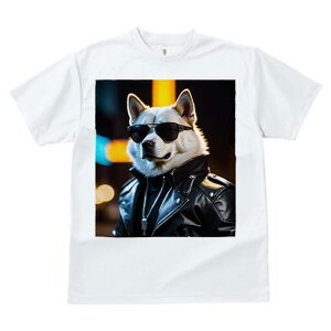 Hc TVc  j[NfUCfB[X t@  t vg lJWA 킢 lԗp Mtg I ҏ΍ TOX Hc vW lbNX