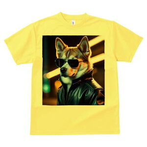 Č TVc  j[NfUCfB[X t@  t vg lJWA 킢 lԗp Mtg I ҏ΍ TOX Č vW