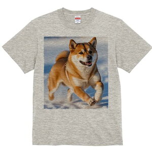 Č TVc  j[NfUCfB[X t@  t vg lJWA 킢 lԗp Mtg I ҏ΍  Č