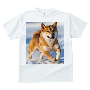 Č TVc  j[NfUCfB[X t@  t vg lJWA 킢 lԗp Mtg I ҏ΍  Č