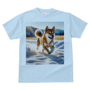 Č TVc  j[NfUCfB[X t@  t vg lJWA 킢 lԗp Mtg I ҏ΍  Č ~ R z