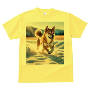 Č TVc  j[NfUCfB[X t@  t vg lJWA 킢 lԗp Mtg I ҏ΍  Č ~ R z