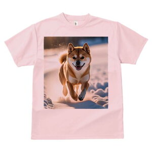 Č TVc  j[NfUCfB[X t@  t vg lJWA 킢 lԗp Mtg I ҏ΍  Č ~ z