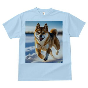 Č TVc  j[NfUCfB[X t@  t vg lJWA 킢 lԗp Mtg I ҏ΍  Č ~ z