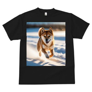 Č TVc  j[NfUCfB[X t@  t vg lJWA 킢 lԗp Mtg I ҏ΍  Č ~ z 