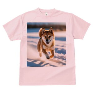 Č TVc  j[NfUCfB[X t@  t vg lJWA 킢 lԗp Mtg I ҏ΍  Č ~ z 