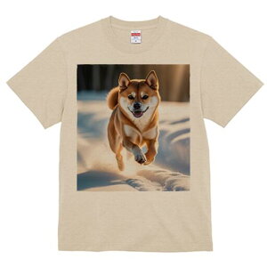 Č TVc  j[NfUCfB[X t@  t vg lJWA 킢 lԗp Mtg I ҏ΍  Č ~ Ί