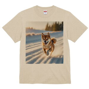 Č TVc  j[NfUCfB[X t@  t vg lJWA 킢 lԗp Mtg I ҏ΍  Č ~ i R