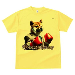 Č TVc  j[NfUCY LbY t@  t vg lJWA 킢 lԗp Mtg I ҏ΍ {NVOO[u Č X[c