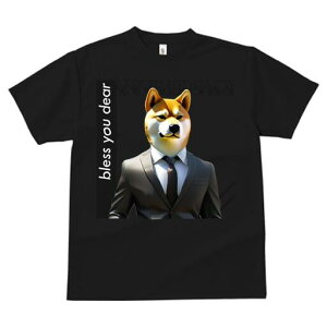 Č TVc  j[NfUCfB[X t@  t vg lJWA 킢 lԗp Mtg I ҏ΍ X[c Č