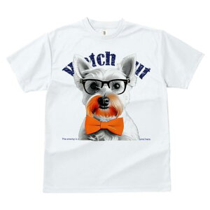 EFXgnChzCgeA TVc  j[NfUCfB[X t@  t vg lJWA 킢 lԗp Mtg I ҏ΍ Kl EFXgnC