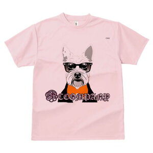 ウエストハイランドホワイトテリア Tシャツ 犬愛 ユニークデザインレディース 犬ファン 半袖 春夏 プリント 大人カジュアル かわいい 人間用 ギフト 個性的 猛暑対策 メガネ ウエストハイラ