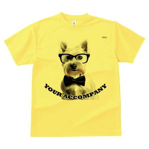 EGXgnChzCgeA TVc  j[NfUCY LbY t@  t vg lJWA 킢 lԗp Mtg I ҏ΍ Kl EGXgn