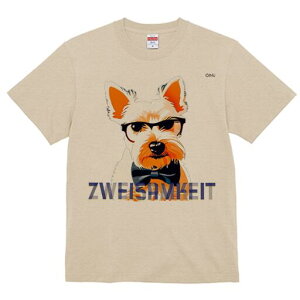 EGXgnChzCgeA TVc  j[NfUCfB[X t@  t vg lJWA 킢 lԗp Mtg I ҏ΍ Kl EGXgnC