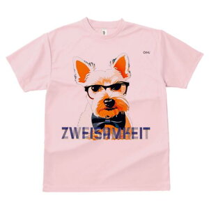 EGXgnChzCgeA TVc  j[NfUCfB[X t@  t vg lJWA 킢 lԗp Mtg I ҏ΍ Kl EGXgnC