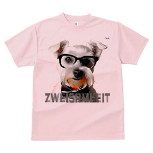 ~j`AViEU[ TVc  j[NfUCfB[X t@  t vg lJWA 킢 lԗp Mtg I ҏ΍ Kl ~j`AViEU[ 