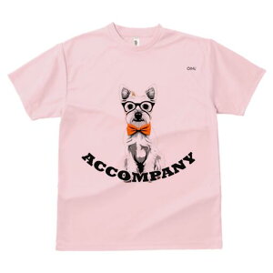 EGXgnChzCgeA TVc  j[NfUCY LbY t@  t vg lJWA 킢 lԗp Mtg I ҏ΍ Kl EGXgn