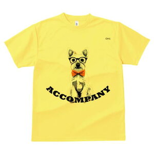 EGXgnChzCgeA TVc  j[NfUCfB[X t@  t vg lJWA 킢 lԗp Mtg I ҏ΍ Kl EGXgnC