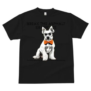 EGXgnChzCgeA TVc  j[NfUCfB[X t@  t vg lJWA 킢 lԗp Mtg I ҏ΍ Kl EGXgnC