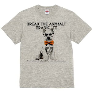 EGXgnChzCgeA TVc  j[NfUCfB[X t@  t vg lJWA 킢 lԗp Mtg I ҏ΍ Kl EGXgnC