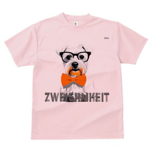 ~j`AViEU[ TVc  j[NfUCY LbY t@  t vg lJWA 킢 lԗp Mtg I ҏ΍ Kl ~j`AViEU