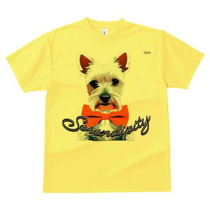 EGXgnChzCgeA TVc  j[NfUCfB[X t@  t vg lJWA 킢 lԗp Mtg I ҏ΍ IW EGXgnC