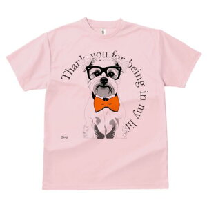 ~j`AViEU[ TVc  j[NfUCfB[X t@  t vg lJWA 킢 lԗp Mtg I ҏ΍ Kl ~j`AViEU[ 