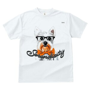 EGXgnChzCgeA TVc  j[NfUCfB[X t@  t vg lJWA 킢 lԗp Mtg I ҏ΍ Kl EGXgnC