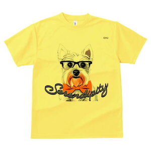 EGXgnChzCgeA TVc  j[NfUCfB[X t@  t vg lJWA 킢 lԗp Mtg I ҏ΍ Kl EGXgnC