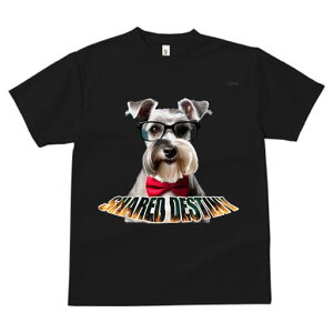 ~j`AViEU[ TVc  j[NfUCY LbY t@  t vg lJWA 킢 lԗp Mtg I ҏ΍ Kl ~j`AViEU