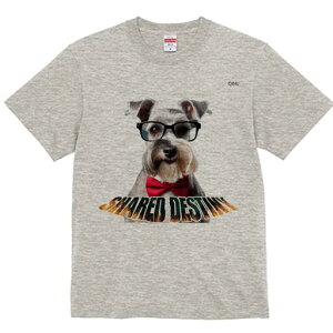 ~j`AViEU[ TVc  j[NfUCY LbY t@  t vg lJWA 킢 lԗp Mtg I ҏ΍ Kl ~j`AViEU