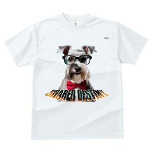 ~j`AViEU[ TVc  j[NfUCY LbY t@  t vg lJWA 킢 lԗp Mtg I ҏ΍ Kl ~j`AViEU