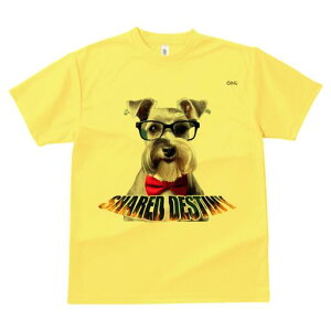 ~j`AViEU[ TVc  j[NfUCY LbY t@  t vg lJWA 킢 lԗp Mtg I ҏ΍ Kl ~j`AViEU