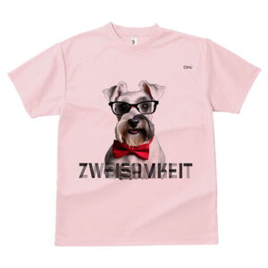 ~j`AViEU[ TVc  j[NfUCfB[X t@  t vg lJWA 킢 lԗp Mtg I ҏ΍ Kl ~j`AViEU[ 