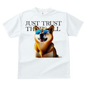 Č TVc  j[NfUCfB[X t@  t vg lJWA 킢 lԗp Mtg I ҏ΍ TOX Č