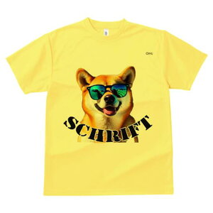 Č TVc  j[NfUCfB[X t@  t vg lJWA 킢 lԗp Mtg I ҏ΍ TOX Č