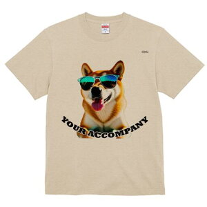 Č TVc  j[NfUCfB[X t@  t vg lJWA 킢 lԗp Mtg I ҏ΍ TOX Č