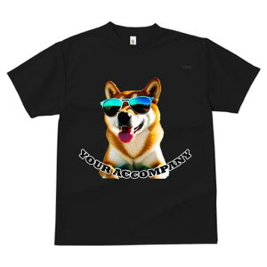 Č TVc  j[NfUCfB[X t@  t vg lJWA 킢 lԗp Mtg I ҏ΍ TOX Č