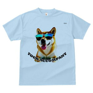 Č TVc  j[NfUCfB[X t@  t vg lJWA 킢 lԗp Mtg I ҏ΍ TOX Č